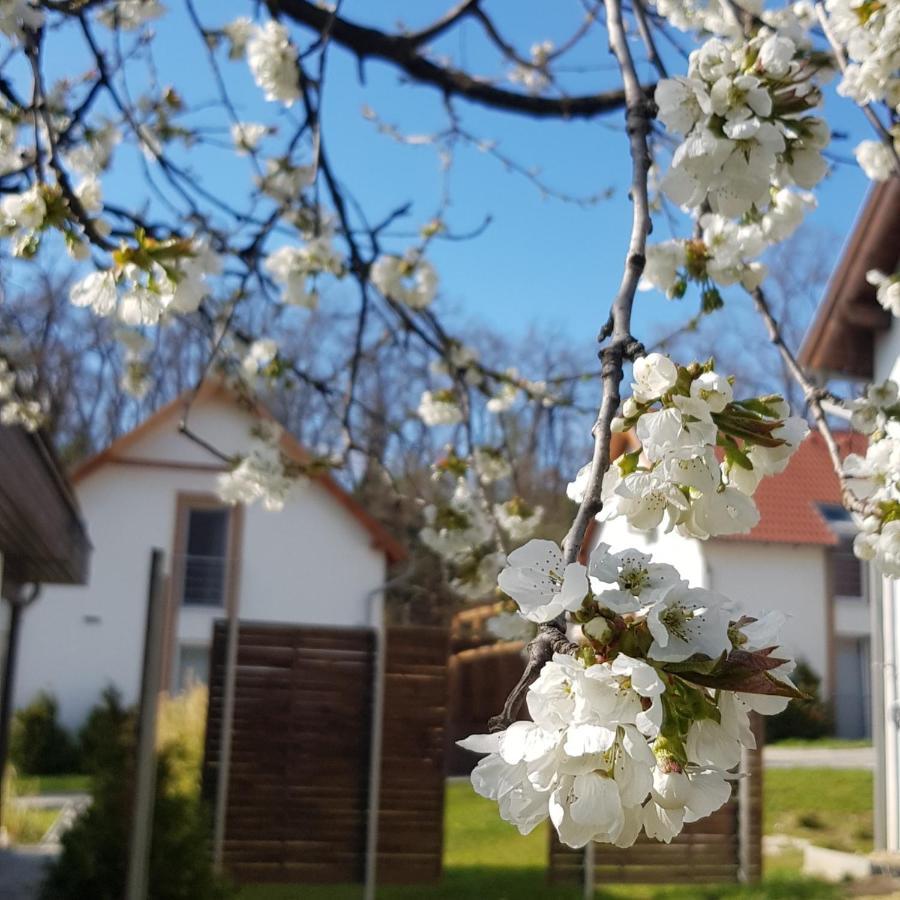 Kenese-Voelgye Villahotel Balatonkenese Esterno foto